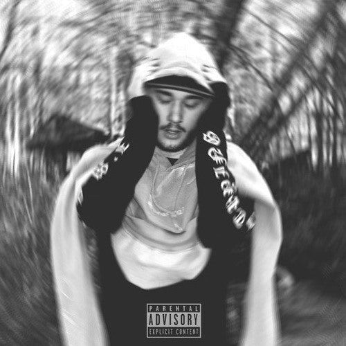 We Never Spoke Since (RARE 2017 EP)